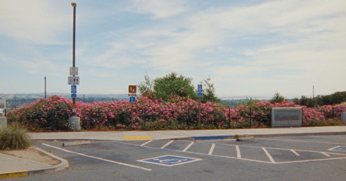 Zodiac Killer Project Cambridge Film Festival