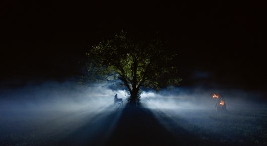Still from The Beauty of the Donkey: a lone tree stands in darkness, lit by beams of light, with small orange lights in the distance.