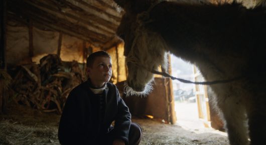 Still from The Beauty of the Donkey: a boy in dark clothes sits in a wooden barn beside a donkey, with daylight coming through the doorway behind him.
