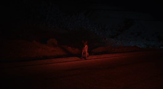Still from Coyotes: a distant figure stands on a dark road under a red-tinged sky at night.