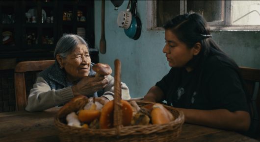 Still from Daughters of the Forest: an older woman and a younger woman sit at a wooden table with a basket of orange items between them.