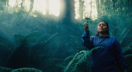 Still from Daughters of the Forest: a person in a blue jacket stands among ferns in a misty, sunlit forest, holding up one hand.