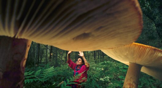 Still from Daughters of the Forest: a person in a red top reaches up towards the underside of a giant mushroom in a forest.