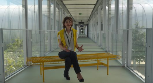 Still from The Peace Particle: a woman in a yellow high-visibility vest sits on a yellow bench in a glass-walled corridor with plants outside.