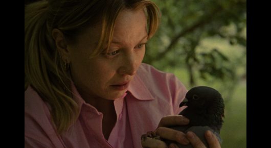 Still from The Pigeon: a woman in a pink shirt holds a small bird in her hands and looks down at it.