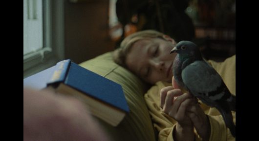 Still from The Pigeon: a woman lies on a bed with a pigeon beside her and a blue book in the foreground.