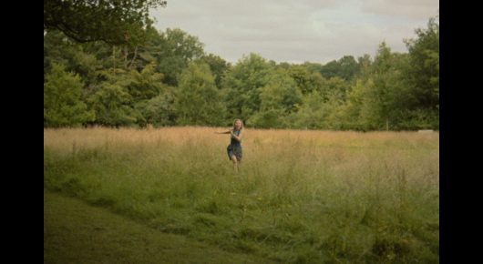 Still from The Pigeon: a lone figure stands far off in a wide field of long grass with trees behind.
