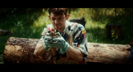 Still from Todd and The Toad: a young man in a patterned shirt and gardening gloves holds up a small object, kneeling beside a fallen log in a wood.