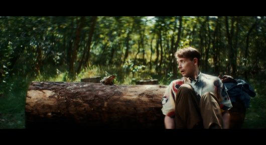 Still from Todd and The Toad: a young man in a patterned shirt sits on a log in a wood with a rucksack beside him.