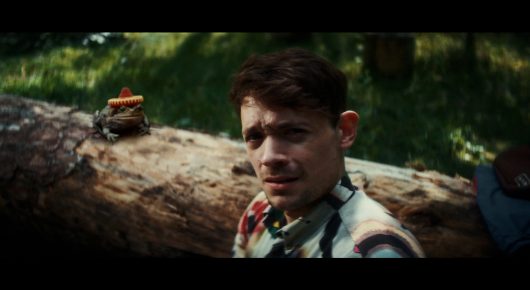 Still from Todd and The Toad: a man in a patterned shirt looks to one side with a worried expression, with a toad on the log behind him.