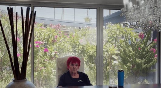 Still from Welcome to Tool Shed: a person with short red hair sits at a desk in front of a window with flowering bushes outside.