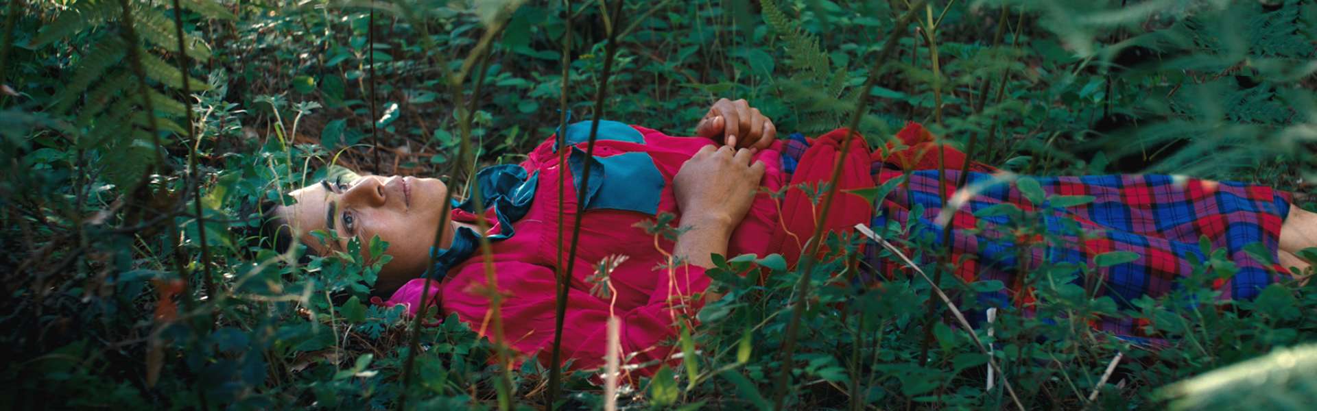 Still from Daughters of the Forest: a person in a red and blue checked jacket lies on their back among ferns in a forest.